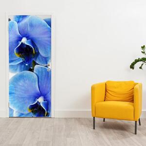 Fotótapéta ajtóra - Kék virág (95x205cm)