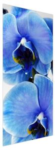 Fotótapéta ajtóra - Kék virág (95x205cm)