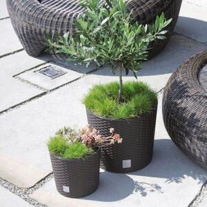 Virágcserép 250 x 224 Mm Mokka RATO ROUND Prosperplast DRTUS250L-7529U
