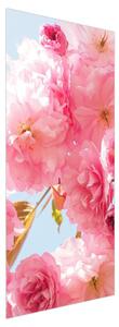 Fotótapéta ajtóra - Rózsaszín virágok (95x205cm)