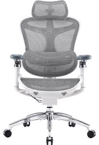 Fotel biurowy Sihoo DORO C300 Pro Mesh White