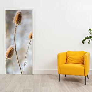 Fotótapéta ajtóra - száraz vadvirágok (95x205cm)