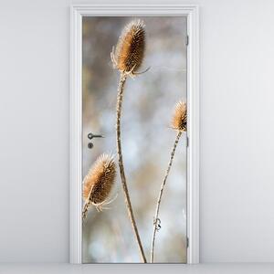 Fotótapéta ajtóra - száraz vadvirágok (95x205cm)
