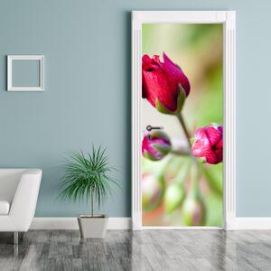 Fotótapéta ajtóra - rózsa virág (95x205cm)