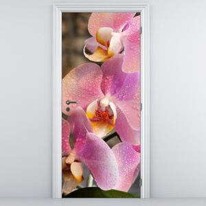 Fotótapéta ajtóra - orchidea (95x205cm)