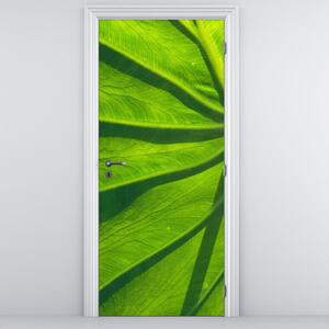 Fotótapéta ajtóra - zöld levelek (95x205cm)