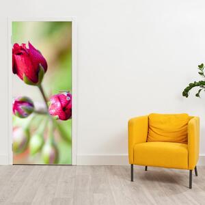 Fotótapéta ajtóra - rózsa virág (95x205cm)