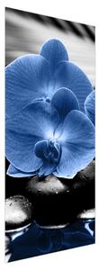 Fotótapéta ajtóra - kék virágok (95x205cm)