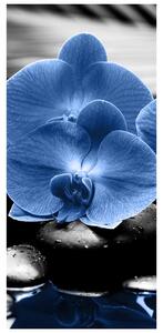 Fotótapéta ajtóra - kék virágok (95x205cm)