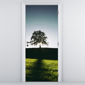 Fotótapéta ajtóra - Fa (95x205cm)