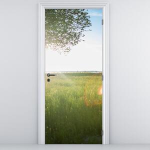 Fotótapéta ajtóra - Nyári rét (95x205cm)