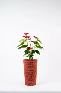 Adoni Doniczka jutowa czerwona z wkładem 22x36 cm - ręcznie robiona (adoni-red-36)