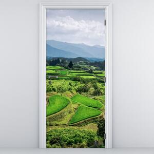 Fotótapéta ajtóra - Rizsföldek (95x205cm)