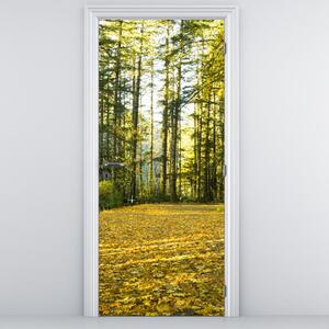 Fotótapéta ajtóra - Erdő ősszel (95x205cm)