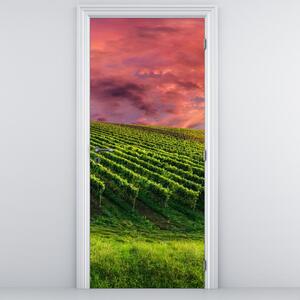Fotótapéta ajtóra - Szőlőskert színes égbolttal (95x205cm)