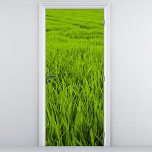 Fotótapéta ajtóra - Fű (95x205cm)