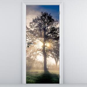 Fotótapéta ajtóra - Fa a ködben (95x205cm)