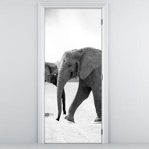 Fotótapéta ajtóra - Fekete-fehér elefántok (95x205cm)