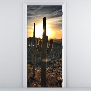 Fotótapéta ajtóra - Kaktuszok a napon (95x205cm)