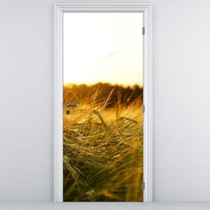 Fotótapéta ajtóra - Harmatos fű (95x205cm)