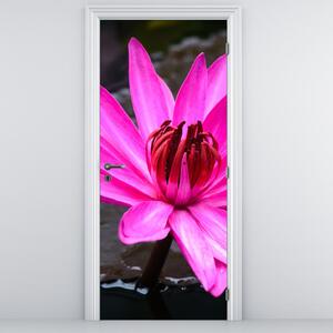Fotótapéta ajtóra - Rózsaszín virág (95x205cm)