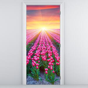 Fotótapéta ajtóra - Tulipán mező napsütésel (95x205cm)