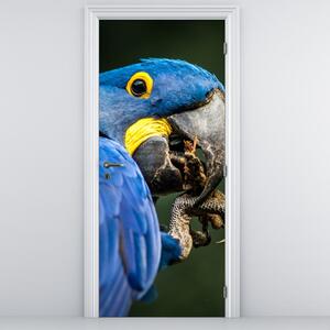 Fotótapéta ajtóra - Papagáj (95x205cm)