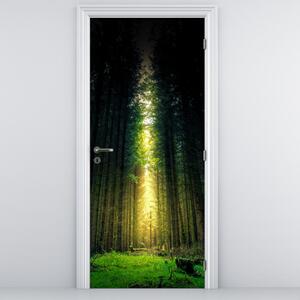 Fotótapéta ajtóra - Sötét erdő (95x205cm)