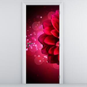 Fotótapéta ajtóra - Piros virág (95x205cm)