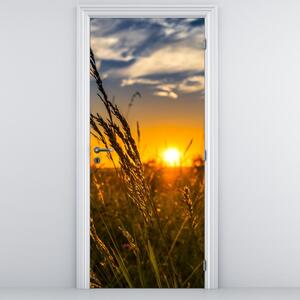 Fotótapéta ajtóra - Mező naplementekor (95x205cm)