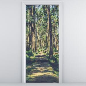 Fotótapéta ajtóra - Ösvény a fák között (95x205cm)