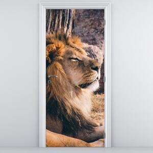 Fotótapéta ajtóra - Fekvő oroszlán (95x205cm)