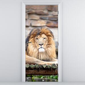 Fotótapéta ajtóra - Oroszlán (95x205cm)