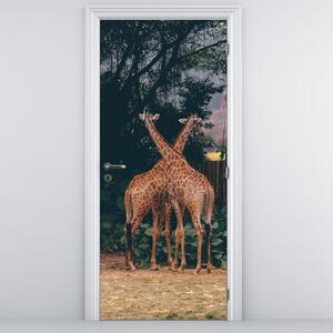 Fotótapéta ajtóra - Két zsiráf (95x205cm)