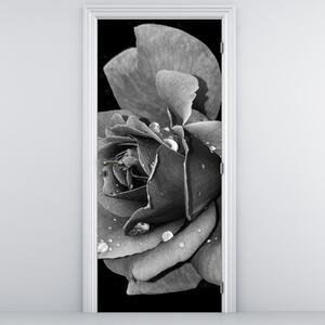 Fotótapéta ajtóra - Rózsa, fekete-fehér (95x205cm)