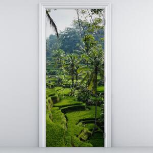 Fotótapéta ajtóra - Tegalalang rizsteraszok (95x205cm)
