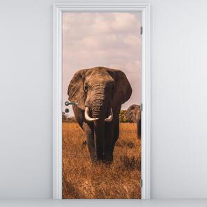 Fotótapéta ajtóra - Az elefánt érkezése (95x205cm)