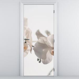 Fotótapéta ajtóra - Fehér orchideák (95x205cm)