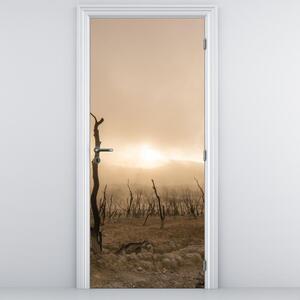 Fotótapéta ajtóra - Csupasz fák (95x205cm)