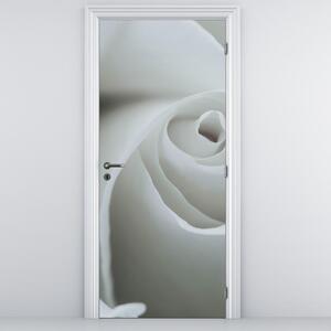 Fotótapéta ajtóra - Fehér rózsa (95x205cm)