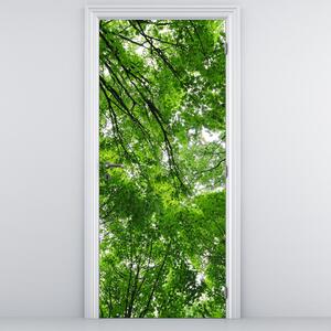 Fotótapéta ajtóra - Kilátás a fák tetejére (95x205cm)
