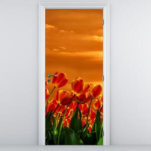 Fotótapéta ajtóra - Virágzó mező tulipánokkal (95x205cm)