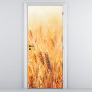 Fotótapéta ajtóra - Mező gabonával (95x205cm)