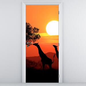 Fotótapéta ajtóra - Zsiráfok naplementekor (95x205cm)