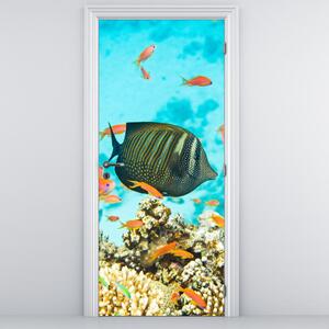 Fotótapéta ajtóra - Víz alatti világ (95x205cm)