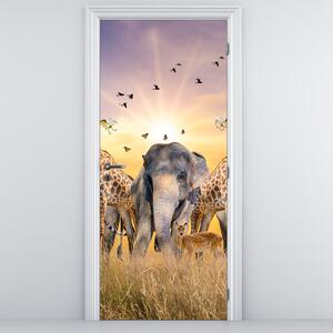 Fotótapéta ajtóra - afrikai állatok (95x205cm)