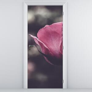 Fotótapéta ajtóra - Rózsavirág részlete (95x205cm)
