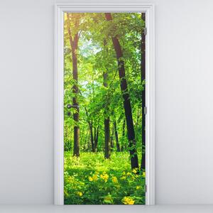 Fotótapéta ajtóra - Tavaszi lombhullató erdő (95x205cm)
