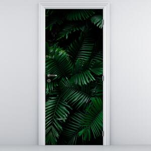 Fotótapéta ajtóra - Trópusi páfrány (95x205cm)