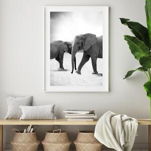 Poszter - Szembe menő elefántok (A4)